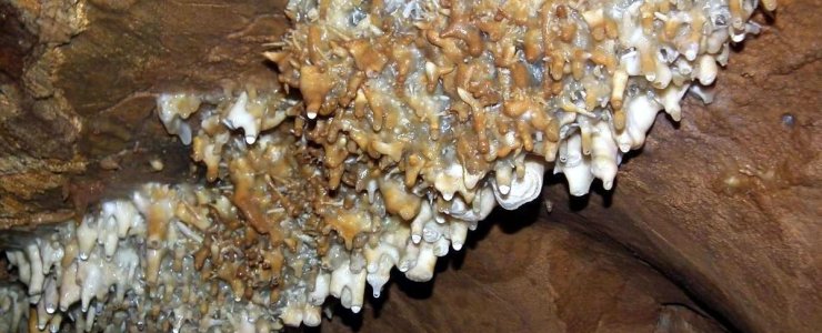 Яворжичские пещеры - Javoříčské jeskyně