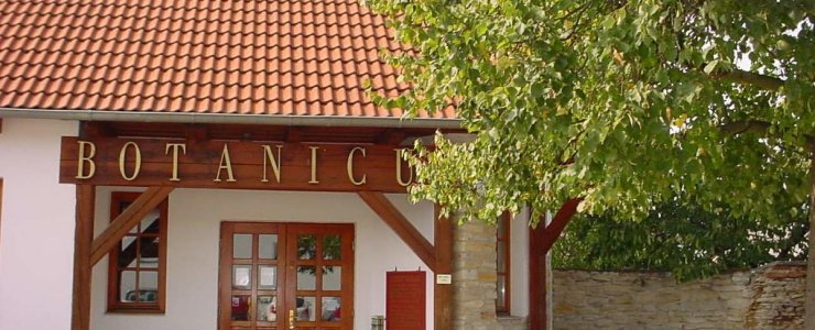 Botanicus