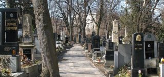 Бржевновское кладбище