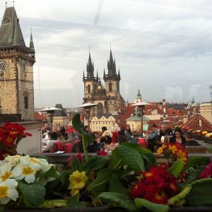 Сладкая экскурсия по исторической Праге