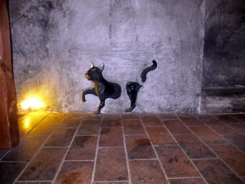 Музей призраков - кошка