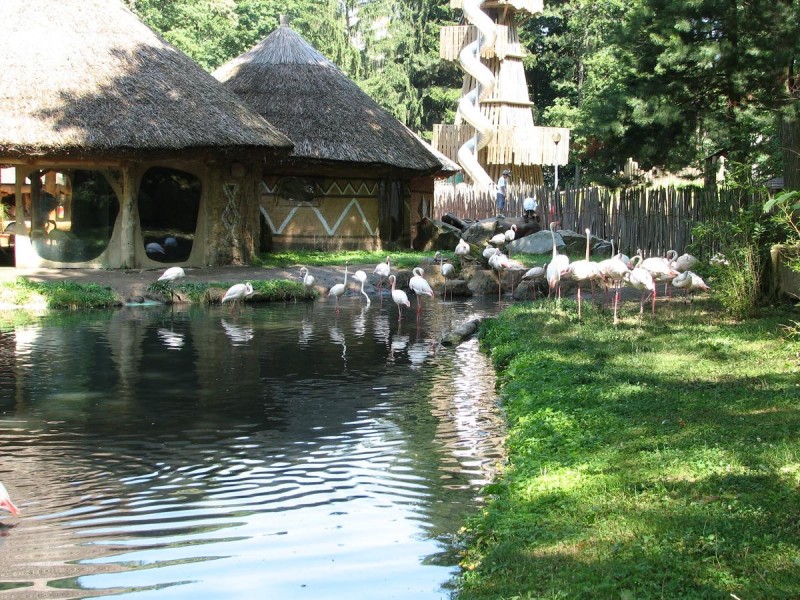 Зоопарк Йиглава