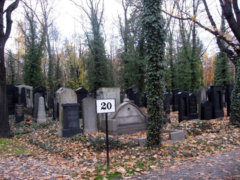 Новое еврейское кладбище 10