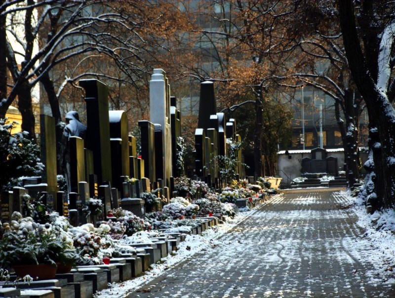 Ольшанское кладбище 5