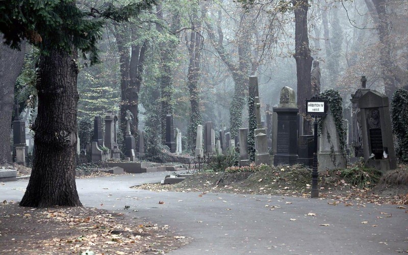 Ольшанское кладбище 8