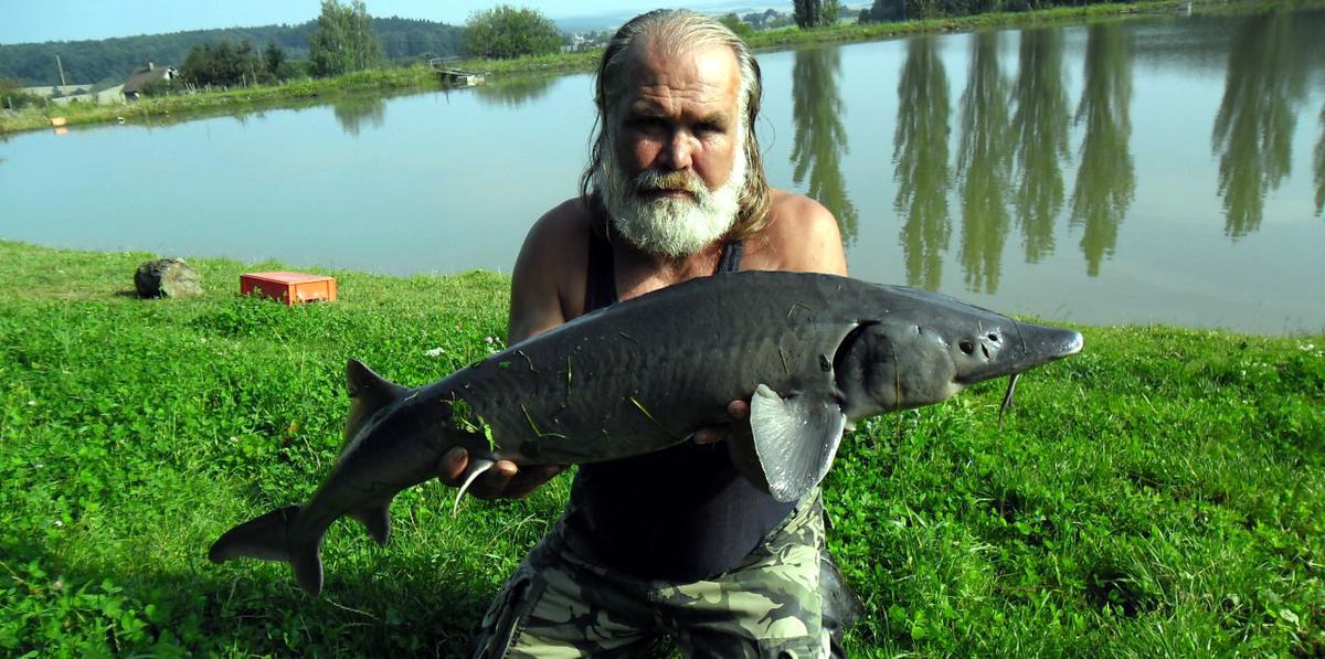 Платная рыбалка в Москве. Рыбалка в Чехии. Платная рыбалка в Краснодарском крае осетр форель. Платная рыбалка возле Микашевич